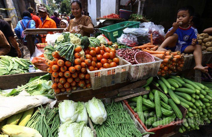 podiumnews.com-Pemerintah Perlu Fokus Perkuat Kredit Ultra Mikro