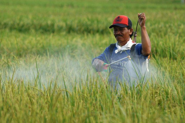 podiumnews.com-Legislator Soroti Rendahnya Kinerja Komoditas Pertanian