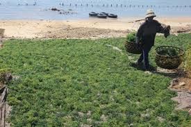 podiumnews.com-Tujuh UKM Binaan Kemendag Mulai Ekspor Perdana