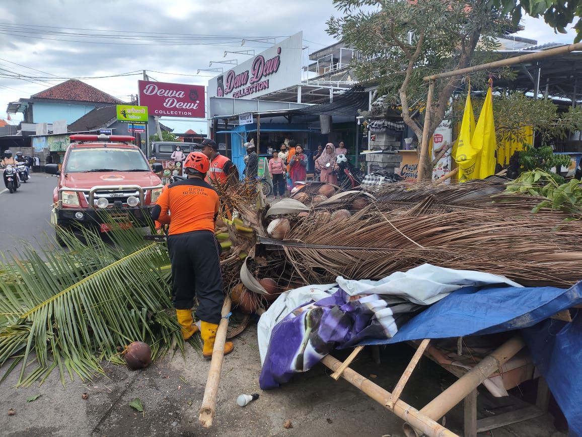 podiumnews.com-Pohon Kelapa Tumbang Timpa Warung di Buleleng 