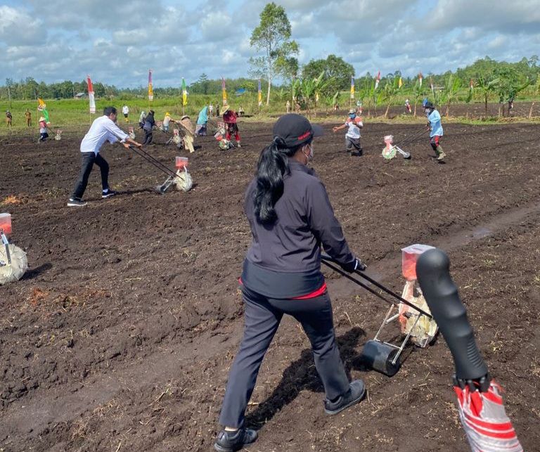 podiumnews.com-Tanam Jagung Bersama Jokowi, Puan Singgung Diversifikasi Pangan