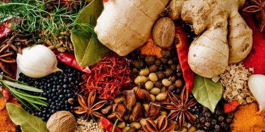 Expo 2020 Dubai, Indonesia Promosikan Bumbu dan Rempah Asli