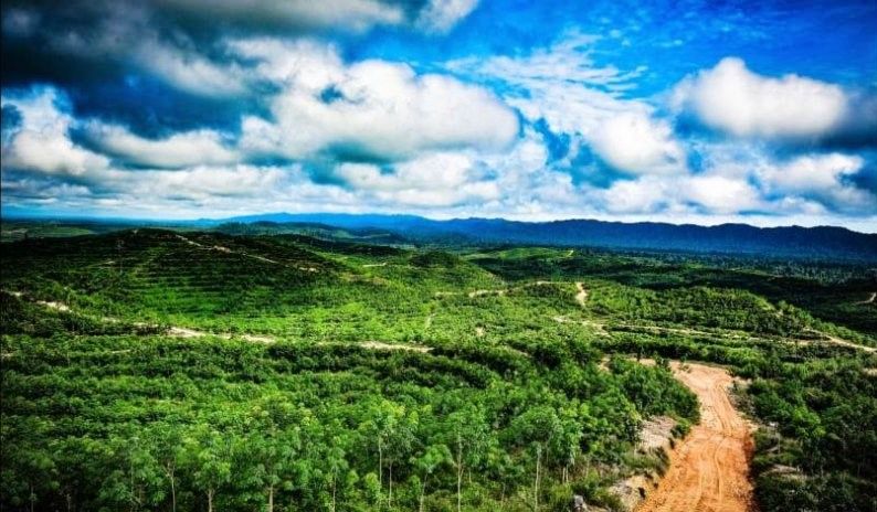 podiumnews.com-Menyeimbangkan Pembangunan dan Lingkungan