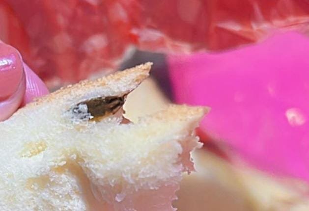 Viral Sekeluarga Keracunan Makan Roti Isi Kecoak  