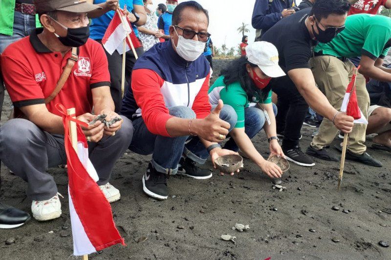 podiumnews.com-Pemda Gianyar Lepaskan 10.000 Tukik di Pantai Saba