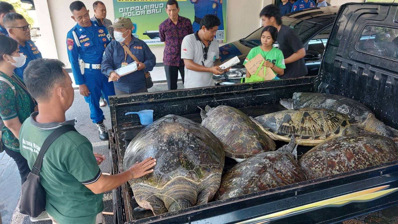 Dugaan  Pelaku Lain Selundup Penyu di TNBB