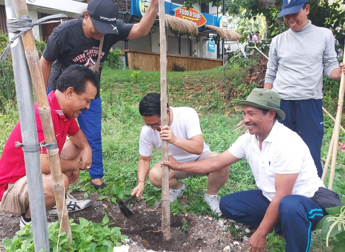 podiumnews.com-Jalan Labuan Sait Dihijaukan Tabebuya