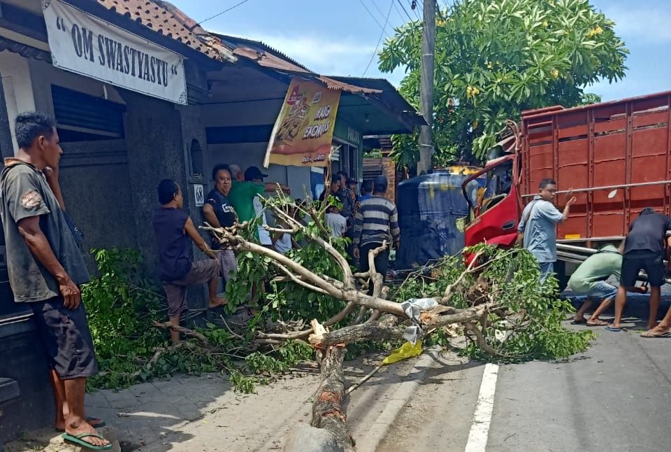 podiumnews.com-Sopir Truk Tabrak Pohon Perindang di Lukluk