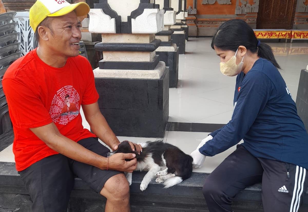 Pemerintah Denpasar Kejar Target Vaksinasi 82 Ribu Anjing