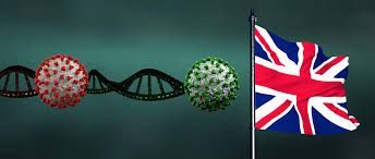 podiumnews.com-Pemerintah Waspadai Varian Baru Corona AY.4.2 dari Inggris