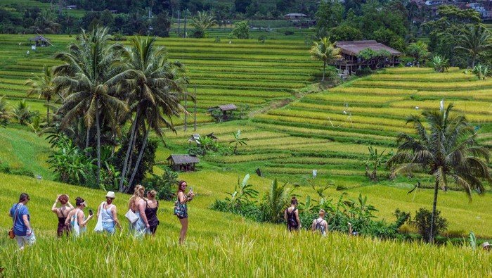 Bali: Sawah dan Wisata