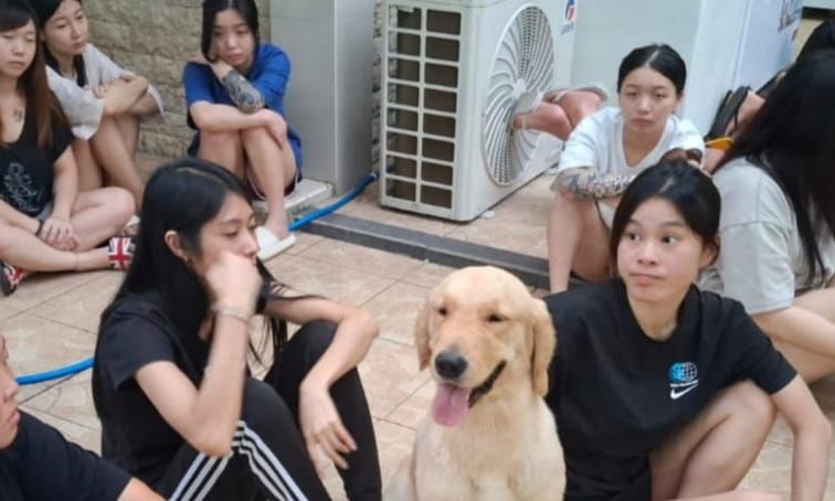 podiumnews.com- 103 WNA Ditangkap Diduga Terlibat Penipuan Online