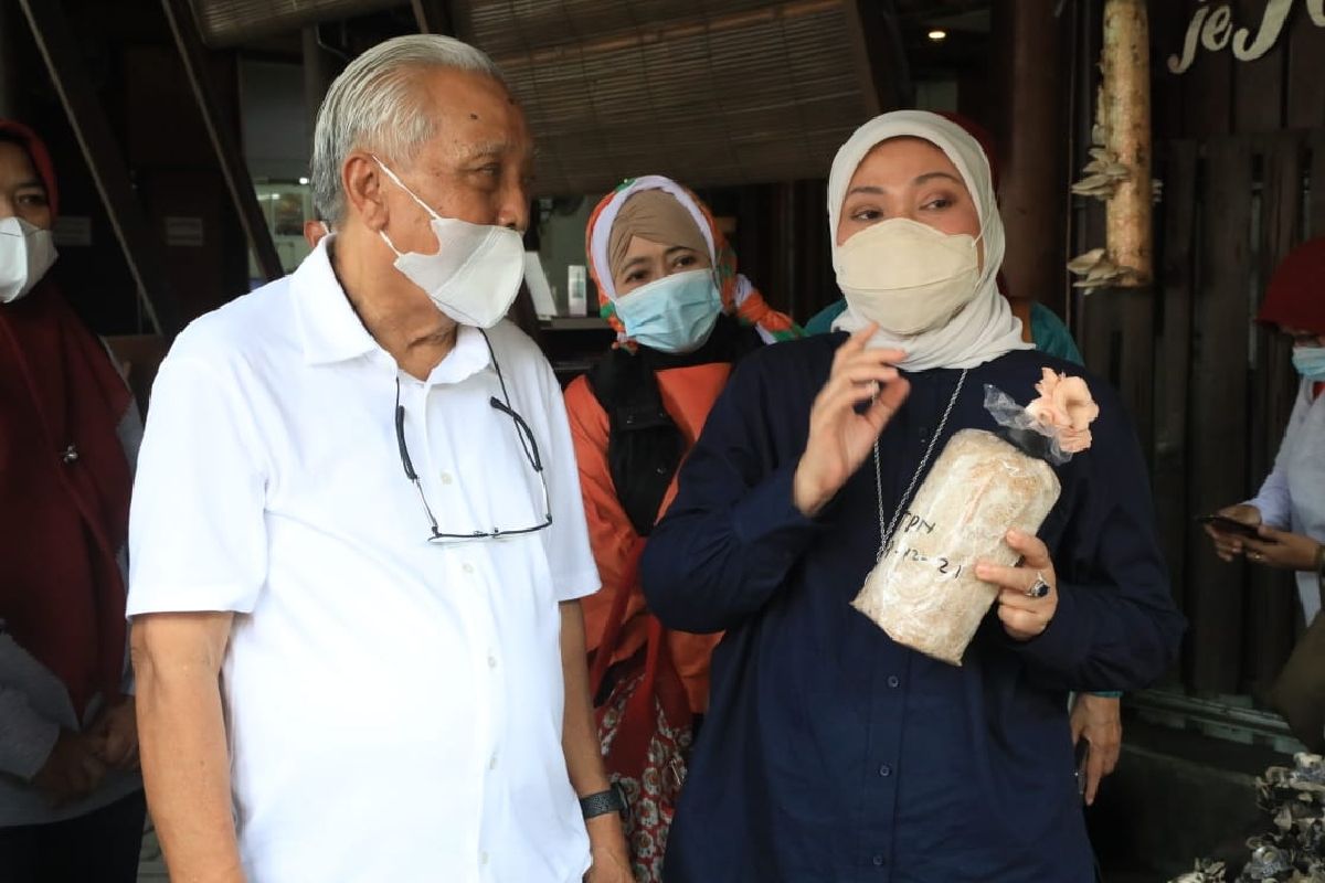 podiumnews.com-Menaker Ajak Generasi Muda Jadi Petani Jamur