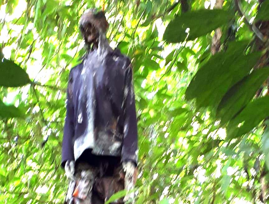 Berburu di Hutan, Budianta Temukan Mayat Tergantung