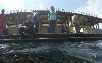 Besok, Menteri Susi Buka Banyuwangi Underwater Festival