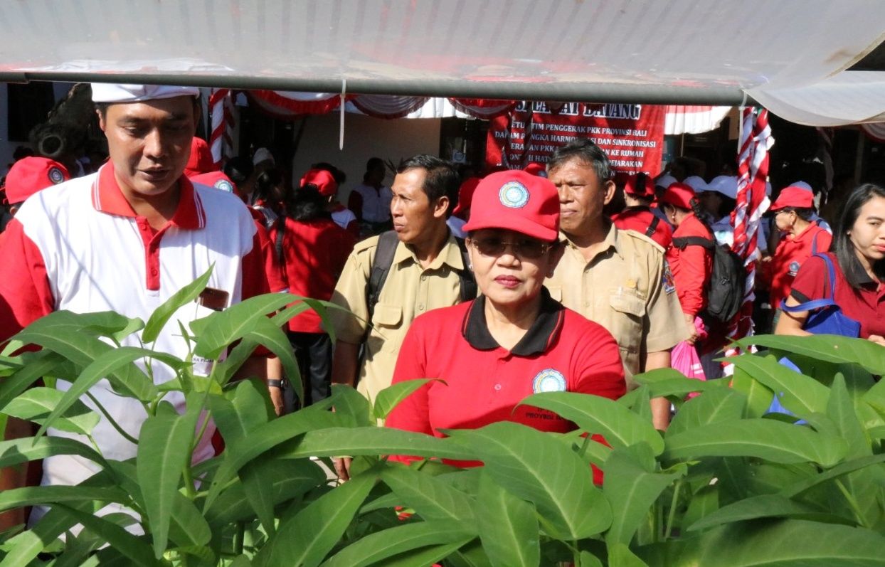 Tingkatkan Mutu SDM, Ny. Putri Koster Ajak Masyarakat Tiru Rumah Contoh HATINYA PKK