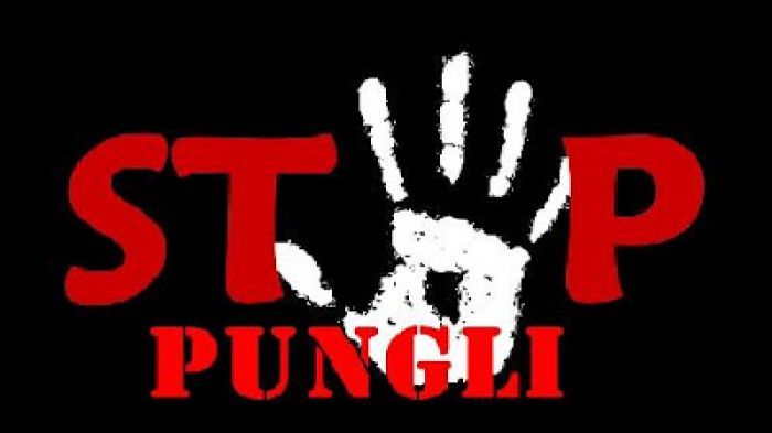 Dua Pelaku Pungli Beromzet Ratusan Juta Diciduk Polisi