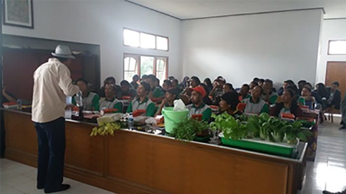 KKN Unud di Bangli, Kenalkan Good Agriculture Practice Tentang Cabai